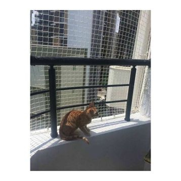 Ünal File 2.50 x 15 mt Kedi Güvenlik Ağı Kalın Balkon Filesi