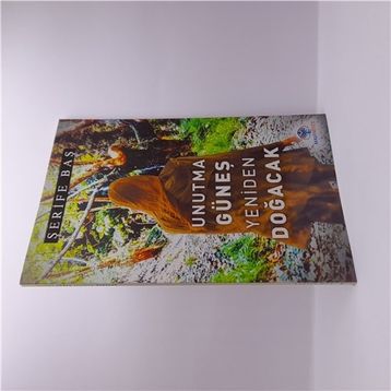 Unutma Güneş Yeniden Doğacak - Şerife Baş - Mavi Nefes Yayınları