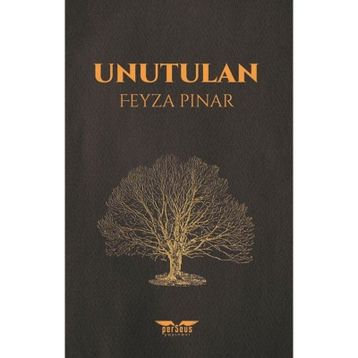 Unutulan - Feyza Pınar