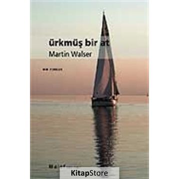 ÜRKMÜŞ BIR AT - MARTIN WALSER