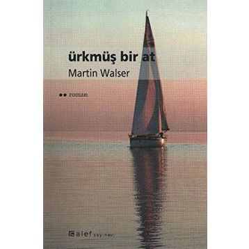 ÜRKMÜŞ BIR AT - MARTIN WALSER