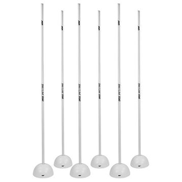 USR BS6B Basic Slalom Takımı
