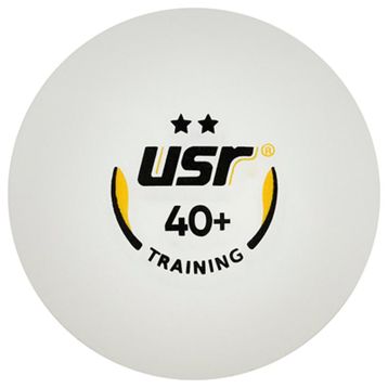 USR Training 10'lu 2 Yıldız Masa Tenisi Antrenman Topu