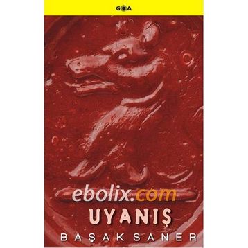 UYANIŞ - GENEL