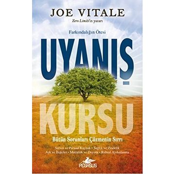 UYANIŞ KURSU - JOE VITALE