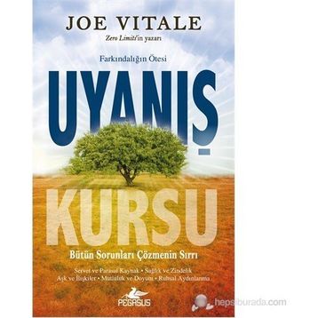 UYANIŞ KURSU - JOE VITALE