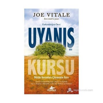 UYANIŞ KURSU - JOE VITALE