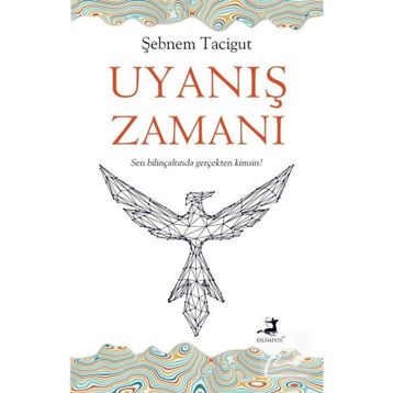 Uyanış Zamanı-Şebnem Tacigut
