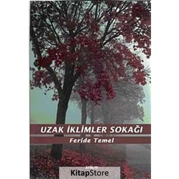 UZAK İKLİMLER SOKAĞI - FERIDE TEMEL