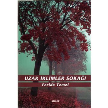 UZAK İKLİMLER SOKAĞI - FERIDE TEMEL