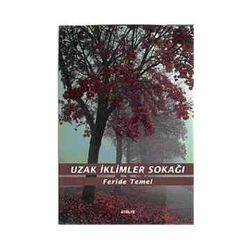 UZAK İKLİMLER SOKAĞI - FERIDE TEMEL
