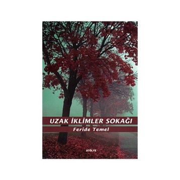 UZAK İKLİMLER SOKAĞI - FERIDE TEMEL