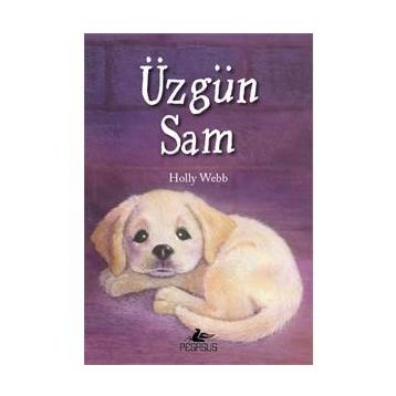 Üzgün Sam - Holly Webb