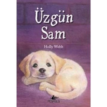 Üzgün Sam - Holly Webb