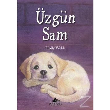 Üzgün Sam - Holly Webb