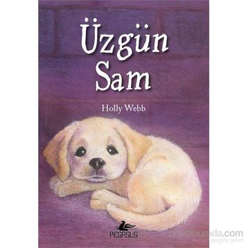 Üzgün Sam - Holly Webb