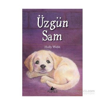 Üzgün Sam - Holly Webb