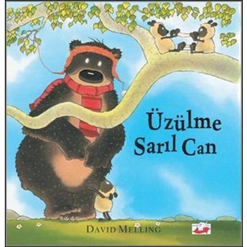 Üzülme Sarıl Can - David Melling