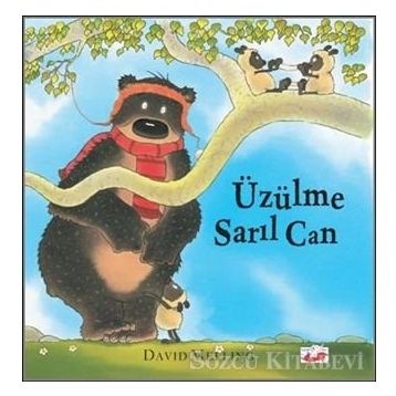 Üzülme Sarıl Can - David Melling