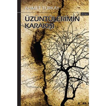 ÜZÜNTÜLERİMİN KARAKIŞI - AHMET TÜRKAY