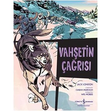 VAHŞETİN ÇAĞIRIŞI - JACK LONDON