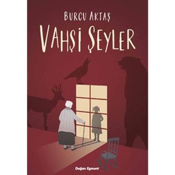 Vahşi Şeyler - Dave Eggers