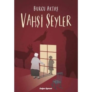 Vahşi Şeyler - Dave Eggers