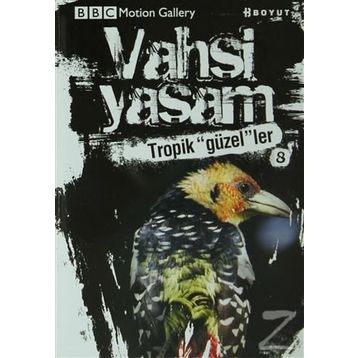 Vahşi Yaşam 2 - Tropik Güzeller - Jonathan Elphick Dominic Couzens