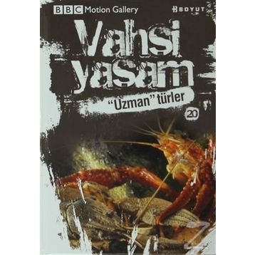 Vahşi Yaşam 2 - Uzman Türler - Amy-Jane Beer Ken Preston