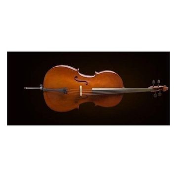 Valencia CE160G34 German Sys Scale 3/4 Karartılmış Çello+Kılıf+Yay