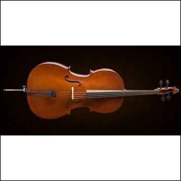 Valencia CE160G44 4-4 Alman Sistem Çello