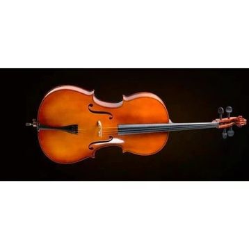 Valencia CE400G 4/4 Çello