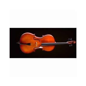 Valencia CE400G14 1-4 Alman Sistem Çello