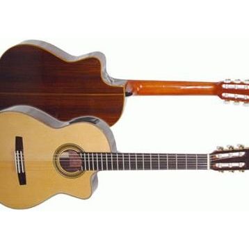 Valencia CG50CE Elektro Klasik Gitar