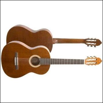 Valencia CGLTD2 Klasik Gitar