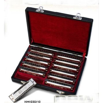 Valencia HM1020-12 12'li Mızıka Set