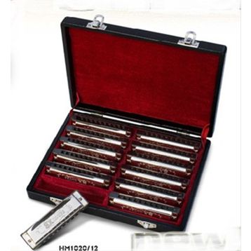Valencia HM1020-12 12'li Mızıka Set