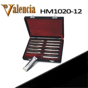 Valencia HM102012 12'li Mızıka Seti