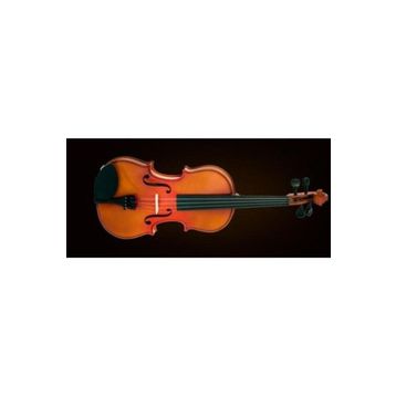 Valencia VA16038 Kutulu 15 38 cm Viola