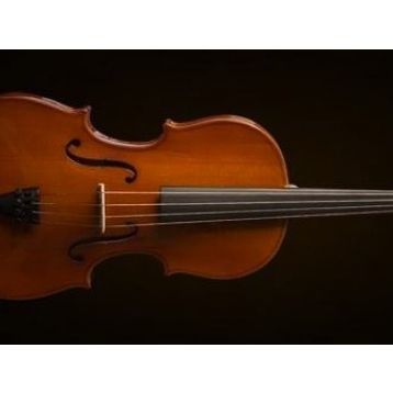 Valencia VA16038 Kutulu 15 38 cm Viola
