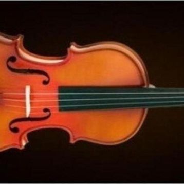 Valencia VA16038 Kutulu 15 38 cm Viola