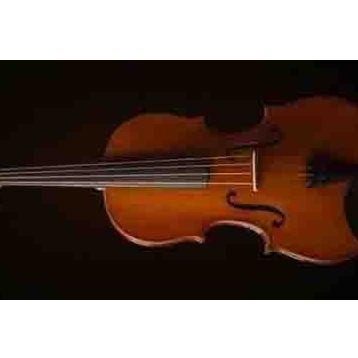 Valencia VA16041 Kutulu 16 40,64 cm Viola