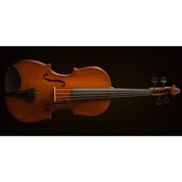 Valencia VA16041 Kutulu 16 40,64 cm Viola