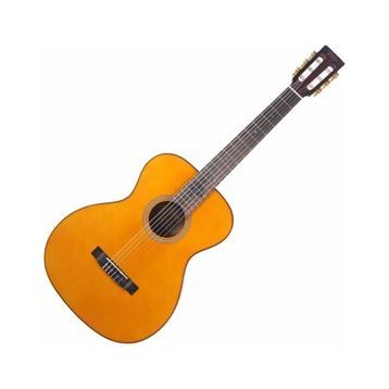 Valencia VA434VNA Klasik Gitar
