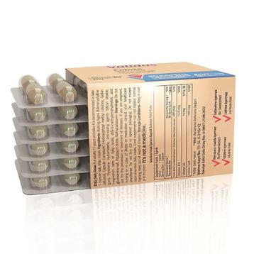 Validus Folate 400 mcg 60 Kapsül