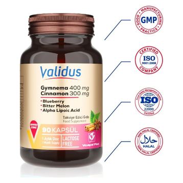 Validus Gymnema Sylvestre 400 mg Cinnamon 300 mg 90 Kapsül