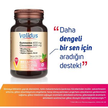 Validus Gymnema Sylvestre 400 mg Cinnamon 300 mg 90 Kapsül