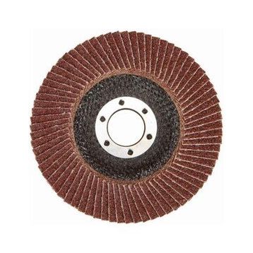 Valiente 60 Kum 115 mm Flap Disk