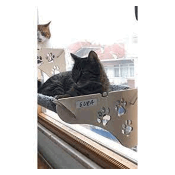 Vantuzlu Cama Asılan Kedi Yatağı