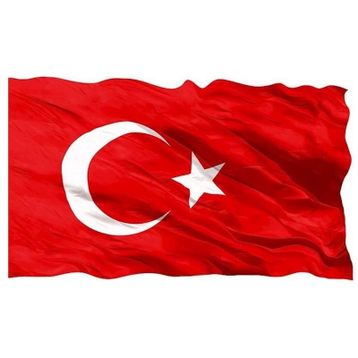 Vatan 400x600 cm Bayrak